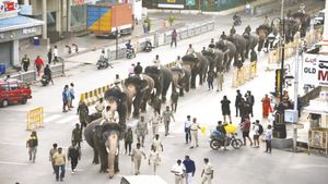  ಮೈಸೂರು ದಸರಾ 2023: ಕೊಡಗಿನ ಪುಂಡಾನೆ ಅಭಿಮನ್ಯು ಈಗ ಗಜಪಡೆಯ ಕ್ಯಾಪ್ಟನ್ ಆಗಿದ್ದೇಗೆ..?