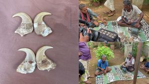  ಚನ್ನಗಿರಿ: 50 ವರ್ಷಗಳಿಂದ ಕೃತಕ ಹುಲಿ ಉಗುರು ತಯಾರಿಸಿ ಜೀವನ ನಡೆಸ್ತಿದ್ದ ಈ ಕುಂಟುಂಬಗಳಿಗೆ ಎದುರಾಯ್ತು ಆಪತ್ತು