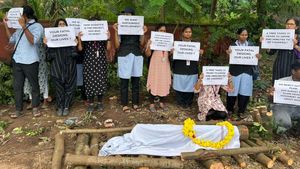  ಮಂಗಳೂರು: ಅಭಿವೃದ್ಧಿ ಹೆಸರಲ್ಲಿ ಮರಗಳ ಮಾರಣಹೋಮ‌, ಪರಿಸರ ಪ್ರೇಮಿಗಳ ಆಕ್ರೋಶ