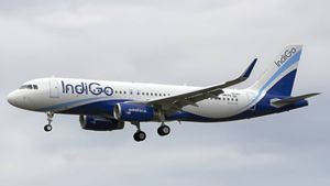 Indigo Flight: ಸಿಂಗಾಪುರದಿಂದ ಬೆಂಗಳೂರಿಗೆ ಬರಲು ಹಾರಿದ್ದ ಇಂಡಿಗೋ ವಿಮಾನ ಮತ್ತೆ ವಾಪಾಸ್ ಹೋಗಿದ್ಯಾಕೆ?