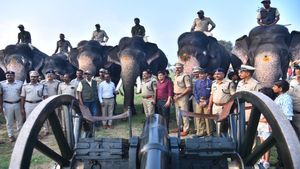  ಮೈಸೂರು ಅರಮನೆಯಷ್ಟೇ ಜಗತ್ಪ್ರಸಿದ್ಧಿಯಾಗಿರುವ ಈ 11 ಫಿರಂಗಿಗಳ ಮಹತ್ವ ತಿಳಿಯಿರಿ
