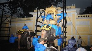  ಗಜಪಡೆ ಕ್ಯಾಪ್ಟನ್ ಅಭಿಮನ್ಯುಗೆ ಅಂಬಾರಿ ಹೊರುವ ತಾಲೀಮು: ಮರದ ಅಂಬಾರಿ ಕಟ್ಟೋದು  ಹೇಗೆ?