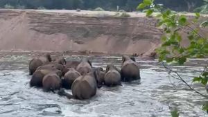  ಚಾಮರಾಜನಗರ: ಕಾವೇರಿ ಮಡಿಲಲ್ಲಿ ಮಿಂದೆದ್ದ 