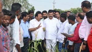ಬೆಳೆ ಹಾನಿ: ರೈತರಿಗೆ ಸಾಂತ್ವನ ಹೇಳಿದ ಸಚಿವ ಎನ್‌ ಚೆಲುವರಾಯಸ್ವಾಮಿ 