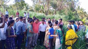 ಮಂಡ್ಯ: ಕಾಡಾನೆ ದಾಳಿಗೆ ಮಹಿಳೆ ಸಾವು, ಗ್ರಾಮಸ್ಥರ ಆಕ್ರೋಶ