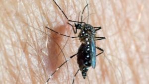  Zika virus: ಝಿಕಾ ವೈರಸ್ ತಡೆಗೆ ಚಿಕ್ಕಬಳ್ಳಾಪುರ ಜಿಲ್ಲಾಡಳಿತ ತೆಗೆದುಕೊಂಡ ಕ್ರಮಗಳಿವು