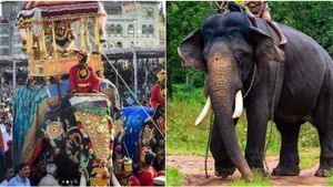 Elephant Arjuna Death: ಕಾಡಾನೆ ಕಾರ್ಯಾಚರಣೆ ವೇಳೆ ಅವಘಡ: ಎಂಟು ಬಾರಿ ಅಂಬಾರಿ ಹೊತ್ತಿದ್ದ ಅರ್ಜುನ ಸಾವು