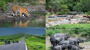 ಚಾಮರಾಜನಗರ ಜಿಲ್ಲೆಯಲ್ಲಿವೆ ಡಿಸೆಂಬರ್‌ನಲ್ಲಿ ನೀವು ಭೇಟಿ ನೀಡಬಹುದಾದ ಸೂಕ್ತ ಪ್ರವಾಸಿ ತಾಣಗಳು 