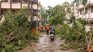 Rain Alert: ಸೈಕ್ಲೋನ್ ಮಿಚಾಂಗ್ ಅಬ್ಬರ: ಆಂಧ್ರ ಪ್ರದೇಶದಲ್ಲಿ ಭಾರಿ ಮಳೆ 