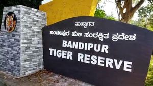 ಬಂಡೀಪುರ: ಕಾಡ್ಗಿಚ್ಚಿನಿಂದ ಕಾಡಿನ ರಕ್ಷಣೆಗಾಗಿ ಬುಡಕಟ್ಟು ಜನರ ನೇಮಕ, ತಿಂಗಳ ಸಂಬಳ ಎಷ್ಟು ಗೊತ್ತಾ?