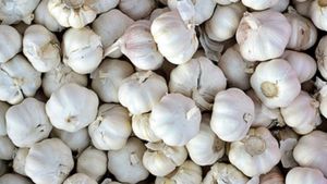  Garlic price: ಗಗನಕ್ಕೇರಿದ ಬೆಳ್ಳುಳ್ಳಿ ದರ, ಇನ್ನೊಂದು ವಾರದಲ್ಲಿ ಕೆ.ಜಿ ಬೆಳ್ಳುಳ್ಳಿ ₹500ರ ಗಡಿ ದಾಟುತ್ತಾ? 