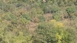 ಚಿಕ್ಕಮಗಳೂರು ಸುತ್ತ ಕಾಡಾನೆಗಳ ಹಿಂಡು, ಶಾಲೆಗೆ ರಜೆ 