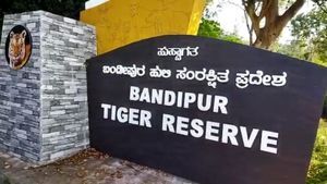  Bandipur National Park: ಬಂಡೀಪುರ ಅಭಯಾರಣ್ಯದಲ್ಲಿ ಗ್ರೀನ್ ಟ್ಯಾಕ್ಸ್‌ನಿಂದ ಸಂಗ್ರಹವಾದ ಹಣ ಎಷ್ಟು ಕೋಟಿ?-ಇಲ್ಲಿದೆ ಮಾಹಿತಿ