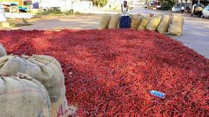 Byadgi Red Chilli: ಬ್ಯಾಡಗಿ ಮಾರುಕಟ್ಟೆಯಲ್ಲಿ ಒಣ ಮೆಣಸಿನಕಾಯಿಯದ್ದೆ ಘಮ!