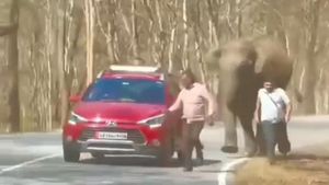 ಚಾಮರಾಜನಗರ: ರಸ್ತೆಗಿಳಿದ ಪ್ರಯಾಣಿಕರನ್ನು ಅಟ್ಟಾಡಿಸಿಕೊಂಡು ಹೋದ ಕಾಡಾನೆ, ವೀಡಿಯೋ ಭಾರೀ ವೈರಲ್