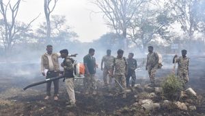 ಬೇಸಿಗೆಯಲ್ಲಿ ಹೊತ್ತಿ ಉರಿಯುವ ಬಂಡಿಪುರ: ಕಾಡ್ಗಿಚ್ಚಿನಿಂದ ಅರಣ್ಯ ರಕ್ಷಿಸಲು ಕಟ್ಟೆಚ್ಚರ 