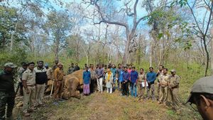  ಬಂಡೀಪುರ:ಹೃದಯಾಘಾತದಿಂದ ಕಾಡಾನೆ ಸಾವು, ಅರಣ್ಯಾಧಿಕಾರಿಗಳು ಹೇಳಿದ್ದೇನು?-ಇಲ್ಲಿದೆ ಮಾಹಿತಿ