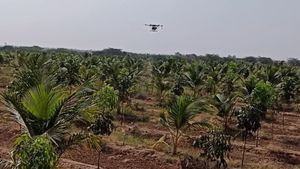 ಕೃಷಿಯಲ್ಲಿ ಡ್ರೋನ್ ತಂತ್ರಜ್ಞಾನ ಎಷ್ಟು ಉಪಯೋಗ ನೋಡಿ 