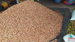  Arecanut Price: ದಾವಣಗೆರೆ ಜಿಲ್ಲೆ ಮಾರುಕಟ್ಟೆಯಲ್ಲಿ ಅಡಿಕೆ ಧಾರಣೆ ಏರಿಕೆ-ದರಗಳ ಅಂಕಿಅಂಶಗಳ ಮಾಹಿತಿ 