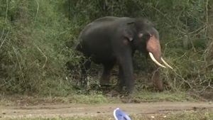  ಕತ್ತೆಕಾಲು ಪೋಡು ಗ್ರಾಮದಲ್ಲಿ ಆನೆ ದಾಳಿಗೆ ಯುವಕ ಬಲಿ