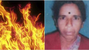  Hassan: ಜಮೀನಿಗೆ ಬಿದ್ದ ಬೆಂಕಿ ಆರಿಸಲು ಹೋದ ರೈತ ಮಹಿಳೆ ಸುಟ್ಟು ಭಸ್ಮ
