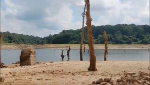 ಕಾವೇರಿ ತವರು ಕೊಡಗಿನಲ್ಲಿಯೇ ಈ ವರ್ಷ ನೀರಿಗೆ ಬರ ಬಂದಿದ್ದು ಹೇಗೆ?