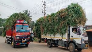 ರಾಜ್ಯದ ಭೀಕರ ಬರಗಾಲದ ನಡುವೆ ಕೇರಳಕ್ಕೆ ಹಸಿರು ಮೇವು ಸಾಗಾಟ: ರೈತರ ಆಕ್ರೋಶ