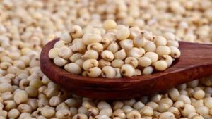 Jowar Update: ಜೋಳ ಖರೀದಿ ಕೇಂದ್ರ ಆರಂಭಿಸಲು ರೈತರ ಆಗ್ರಹ