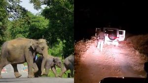 ಚಾಮರಾಜನಗರ: ಇವಿಎಂ ಸಾಗಿಸುತ್ತಿದ್ದ ವಾಹನ ಅಡ್ಡಗಟ್ಟಿದ ಗಜಪಡೆ, ವಿಡಿಯೋ ವೈರಲ್‌