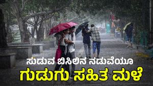 Rain News; ಈ ಜಿಲ್ಲೆಯ ಹಲವು ಕಡೆ ಗುಡುಗು ಸಹಿತ ಮಳೆ