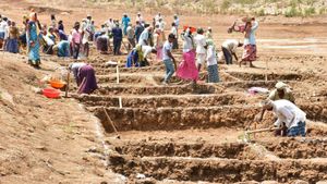 MGNREGA: ಬರಗಾಲದಲ್ಲಿ ಗ್ರಾಮೀಣ ಜನರ ಬದುಕಿಗೆ ಆಸರೆಯಾದ ಉದ್ಯೋಗ ಖಾತ್ರಿ ಯೋಜನೆ