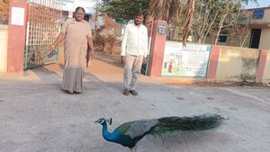  ಚಾಮರಾಜನಗರ: ಮತಗಟ್ಟೆಗೆ ಬಂದ ರಾಷ್ಟ್ರೀಯ ಪಕ್ಷಿ-ವಿಡಿಯೋ ಭಾರೀ ವೈರಲ್