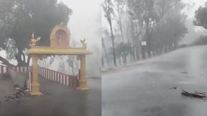 ಗಡಿಜಿಲ್ಲೆಯ ಹಲವೆಡೆ ವರ್ಷದ ಮೊದಲ ಮಳೆ, ಈ ಭಾಗಗಳಲ್ಲಿ ಕಾಡ್ಗಿಚ್ಚಿನ ಆತಂಕ ದೂರ