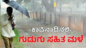Chikkamagaluru Rain: ಕಾಫಿನಾಡು ಚಿಕ್ಕಮಗಳೂರಿನಲ್ಲಿ ಮುಂದುವರೆದ ಮಳೆ ಅಬ್ಬರ; ಹಲವೆಡೆ ವಿದ್ಯುತ್ ಸಂಪರ್ಕ ಸ್ಥಗಿತ