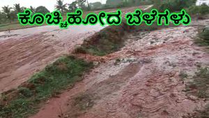  ಚಾಮರಾಜನಗರ: ರಣಮಳೆಗೆ ಮಳೆಗೆ ಕೊಚ್ಚಿಹೋದ ಬಿತ್ತನೆ ಮಾಡಿದ್ದ ಬೆಳೆಗಳು 