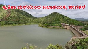  Vani Vilasa Sagara Dam: ಅಬ್ಬರಿಸಿದ ಕೃತಿಕಾ ಮಳೆಯಿಂದ ವಿವಿ ಸಾಗರ ಜಲಾಶಯಕ್ಕೆ ಜೀವಕಳೆ: ನೀರಿನ ಮಟ್ಟ ಎಷ್ಟಿದೆ?