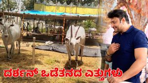 ದನಗಳ ಜಾತ್ರೆಯಲ್ಲಿ ಗಮನ ಸೆಳೆದ ಚಾಲೆಂಜಿಂಗ್ ಸ್ಟಾರ್ ದರ್ಶನ್ ಒಡೆತನದ ಎತ್ತುಗಳು