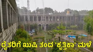  Mandya Rain: ಮಂಡ್ಯ ರೈತರಿಗೆ ಖುಷಿ ತಂದ 'ಕೃತ್ತಿಕಾ' ಮಳೆ