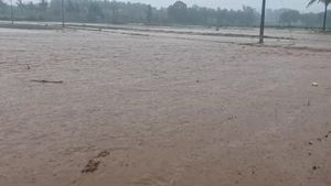 Karnataka Rain: ಭಾರಿ ಮಳೆಗೆ ಹೊಳೆಯಂತಾದ ಕೃಷಿ ಜಮೀನುಗಳು