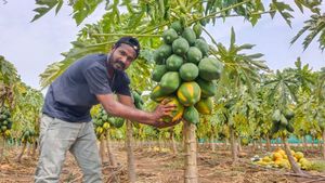  Raichur: 2 ಎಕರೆ ಜಮೀನಿನಲ್ಲಿ ತೋಟಗಾರಿಕೆ, ಮೀನುಗಾರಿಕೆ: ಮಾದರಿ ಯುವಕ 