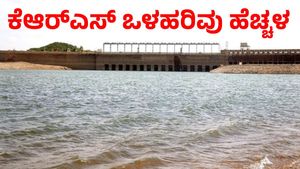  KRS Dam: ಭರ್ಜರಿ ಮಳೆಗೆ ಮೈತುಂಬಿಕೊಳ್ಳುತ್ತಿದೆ ಕಾವೇರಿ: ಕೆಆರ್​ಎಸ್ ಒಳಹರಿವು ಗಮನಾರ್ಹ ಹೆಚ್ಚಳ 
