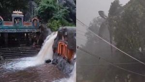 ಚಿಕ್ಕಮಗಳೂರು: ಕಲ್ಲತ್ತಿಗರಿ ಜಲಪಾತಕ್ಕೆ ಬಂತು ಜೀವಕಳೆ 