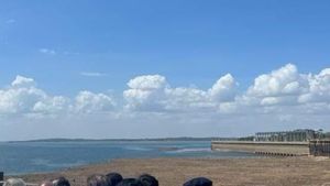 ಕಾವೇರಿ ಕಣಿವೆಯ ಡ್ಯಾಂಗಳಲ್ಲಿ ನೀರಿನ ಮಟ್ಟ ಎಷ್ಟಿದೆ? 