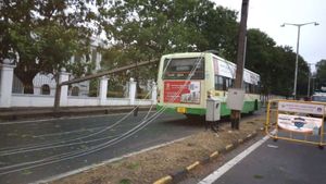  Heavy Rain: ಮೈಸೂರು ಮಳೆಗೆ ಧರೆಗುರುಳಿದ 410 ವಿದ್ಯುತ್ ಕಂಬಗಳು; ವಿದ್ಯುತ್ ಕಡಿತ, ನೀರು ಪೂರೈಕೆಯಲ್ಲಿ ವ್ಯತ್ಯಯ 