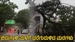 Mysuru Rain: ಮೈಸೂರಿನಲ್ಲಿ ಬಿರುಗಾಳಿ ಸಹಿತ ಆಲಿಕಲ್ಲು ಮಳೆ; ಧರೆಗುರುಳಿದ ಮರಗಳು 