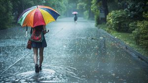Pre Monsoon: ಪೂರ್ವ ಮುಂಗಾರು ಮಳೆ ಆರಂಭ; ಅಗತ್ಯ ಸಿದ್ಧತೆ ಕೈಗೊಳ್ಳುವಂತೆ ಸೂಚನೆ