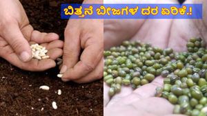 Price Hike: ಮುಂಗಾರು ಹಂಗಾಮಿಗೆ ಸಿದ್ಧತೆ: ರೈತರಿಗೆ 'ಬಿತ್ತನೆ ಬೀಜ' ದರ ಏರಿಕೆ ಹೊಡೆತ