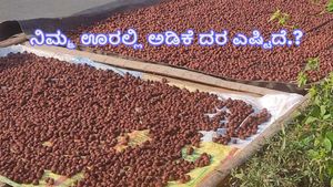  ದಾವಣಗೆರೆ: ಪ್ರಸ್ತುತ ಕ್ವಿಂಟಾಲ್‌ ಅಡಿಕೆ ದರ ಎಷ್ಟಿದೆ ಗೊತ್ತಾ?-ತಾಲೂಕುವಾರು ದರಗಳ ಅಂಕಿಅಂಶಗಳ ವಿವರ ತಿಳಿಯಿರಿ