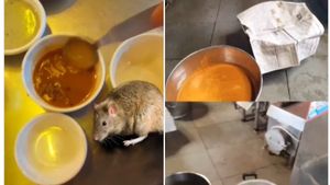 Video Viral: ಸಾಂಬಾರ್‌ನಲ್ಲಿ ಸಿಕ್ಕಿದ್ದನ್ನು ನೋಡಿ ತಬ್ಬಿಬ್ಬಾದ ಗ್ರಾಹಕ, ನೆಟ್ಟಿಗರಿಂದ ವ್ಯಾಪಕ ಆಕ್ರೋಶ
