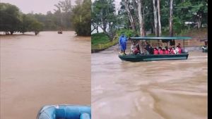 ದುಬಾರೆಯಲ್ಲಿ ಕಾವೇರಿಗೆ ನದಿಗೆ ಜೀವಕಳೆ: ವಿಡಿಯೋ ವೈರಲ್ 
